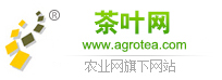 Ż(dng)logo